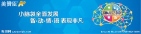 美赞臣2013新元素