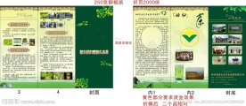 露源生态茶叶折页