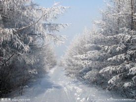 狼烟雪道