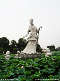 荷塘仙子