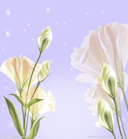 动漫花卉