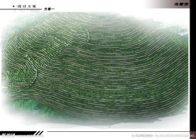 陵园鸟瞰图
