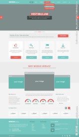 网站首页空模板