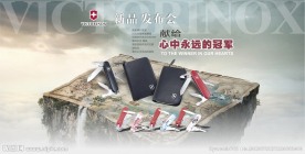 心中的冠军海报