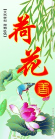 荷花香