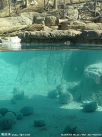 清澈的湖水