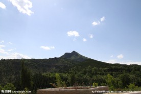 青山
