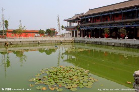 莲花池