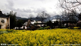 安徽黄山民居