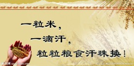节约粮食展板