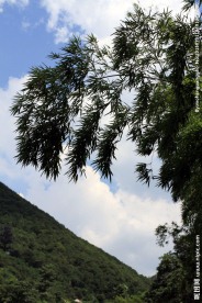 慈溪五磊山风景