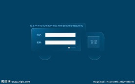 软件系统登录界面