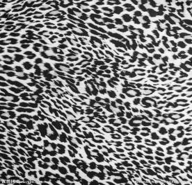 豹皮 皮毛 动物皮毛