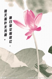 荷花水墨画