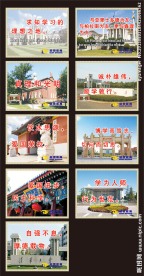 学习标语