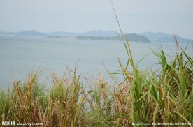 东坑大峡谷 山水