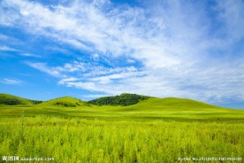 大草原壁纸