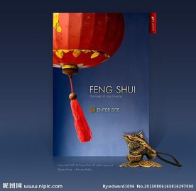 flahs网站设计