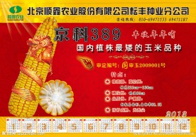 玉米宣传画