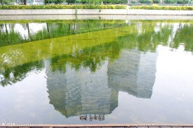 建筑倒影