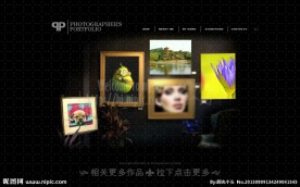 网页flash设计