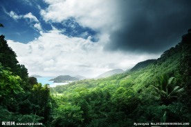 山林