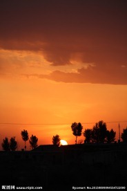 树林召 王爱召 夕阳