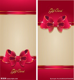 蝴蝶结礼品包装