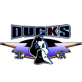 北京鸭男子篮球队标志