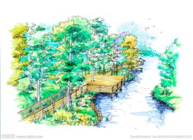 马克笔 手绘 景观