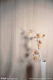 孤独的花