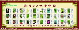 中草药