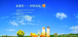 金盏花护肤品海报淘宝