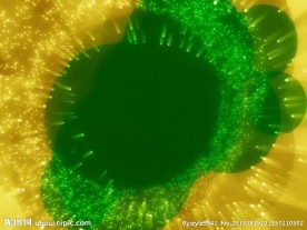 光彩背景视频素材