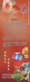 鸿祺X架