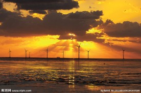 如东洋口港影像