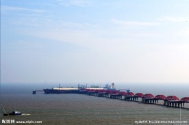 如东洋口港影像