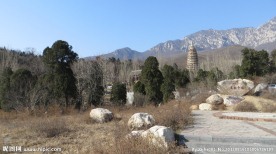 嵩岳寺风光