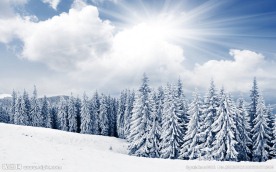 雪景