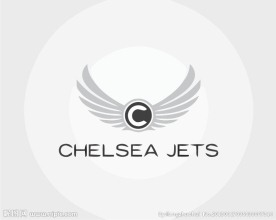 翅膀logo