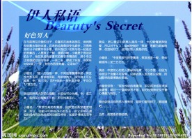 FLASH电子书内页