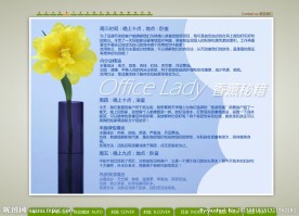 FLASH 电子书2