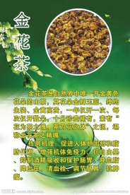 金花茶