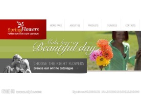 美丽的花儿flash