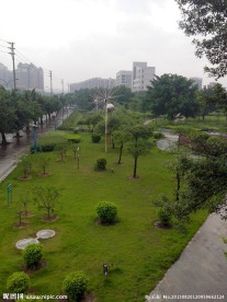 城市绿化