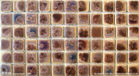 装饰 马赛克 纹理