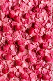 花瓣背景素材