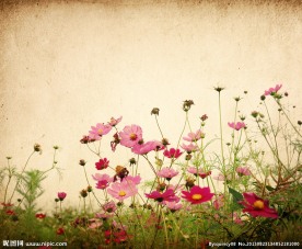 花丛
