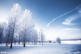 东北雪景