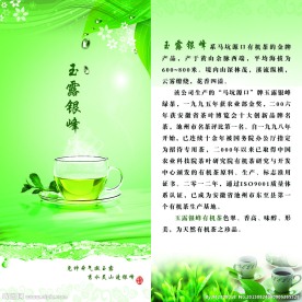 茶叶宣传册